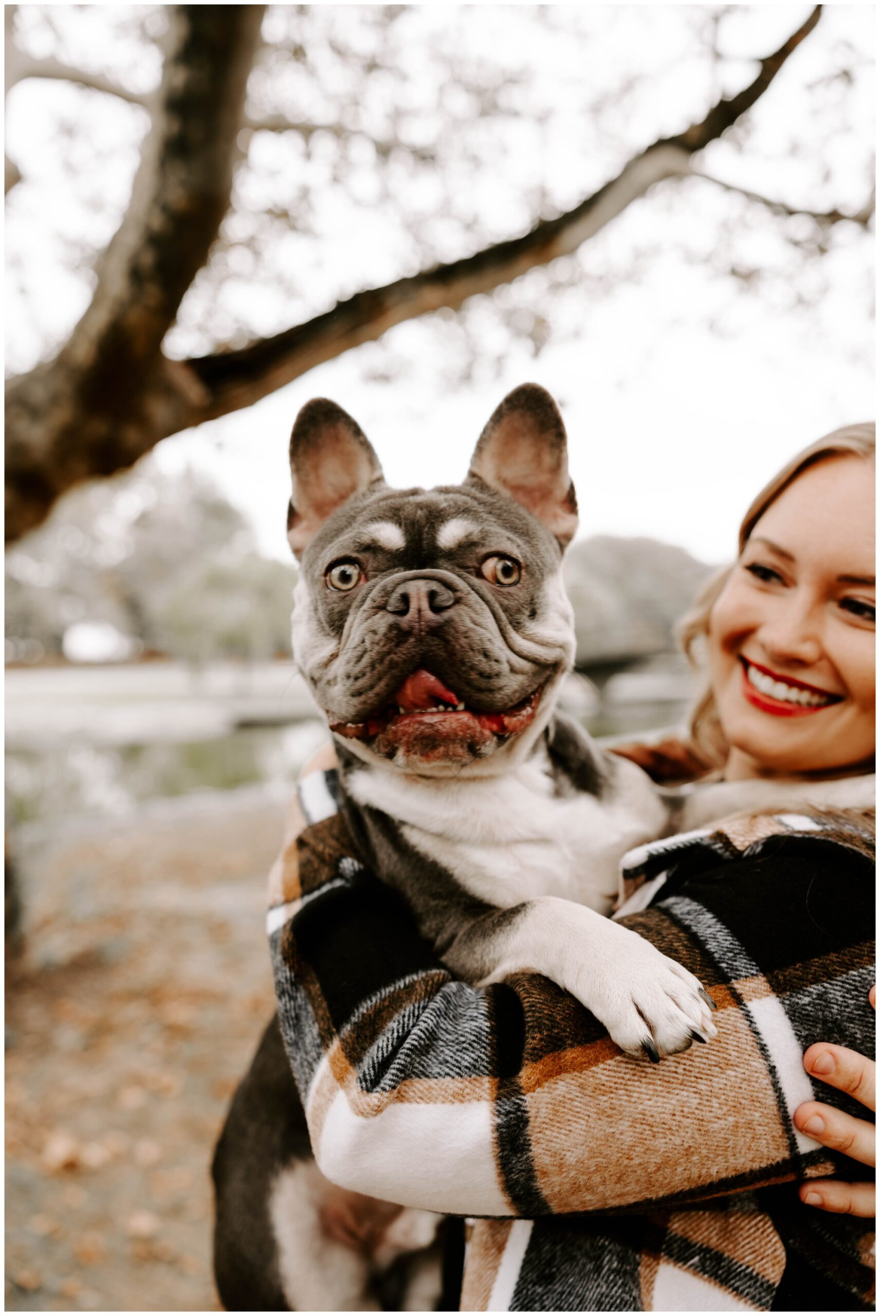 engagement photos with dog in Pittsburgh