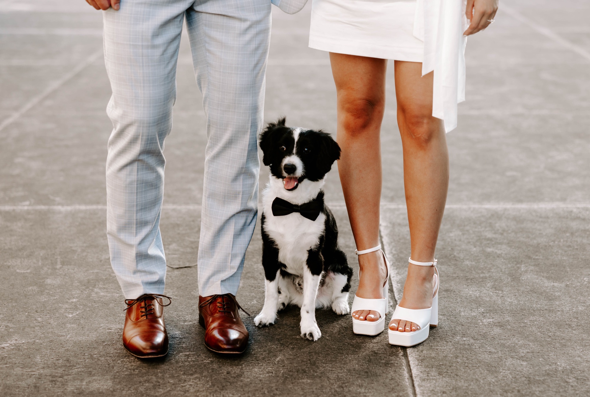 engagement photos at the Mellon Institute Pittsburgh