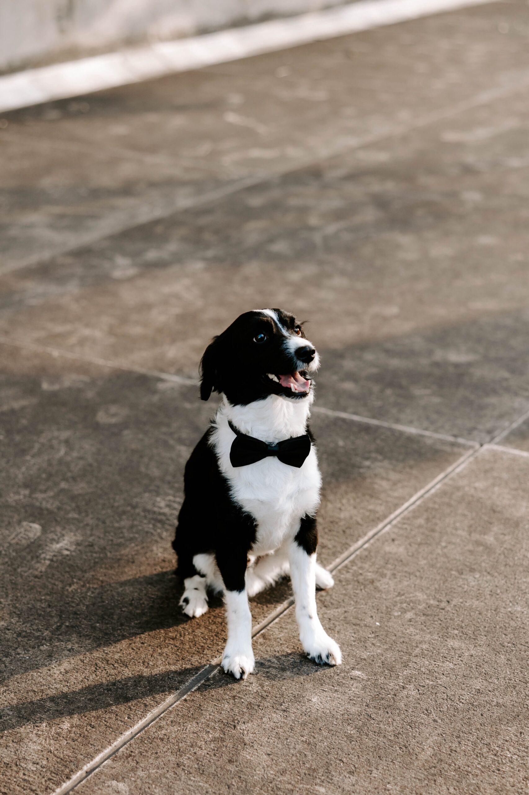 how to take elegant engagement photos