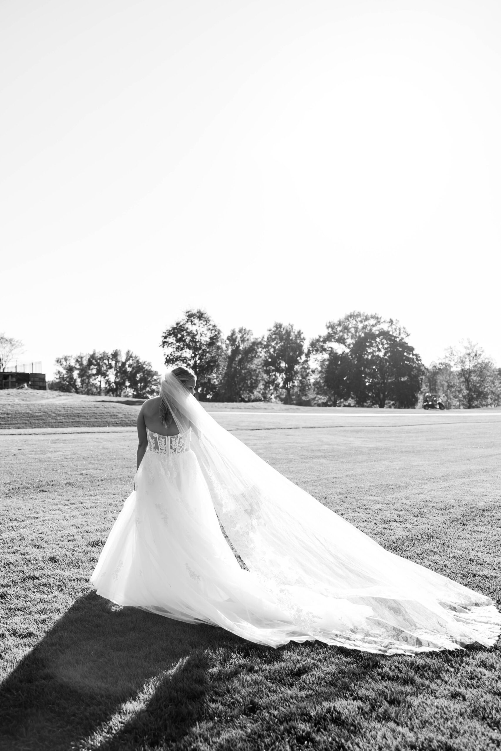 bridal portraits