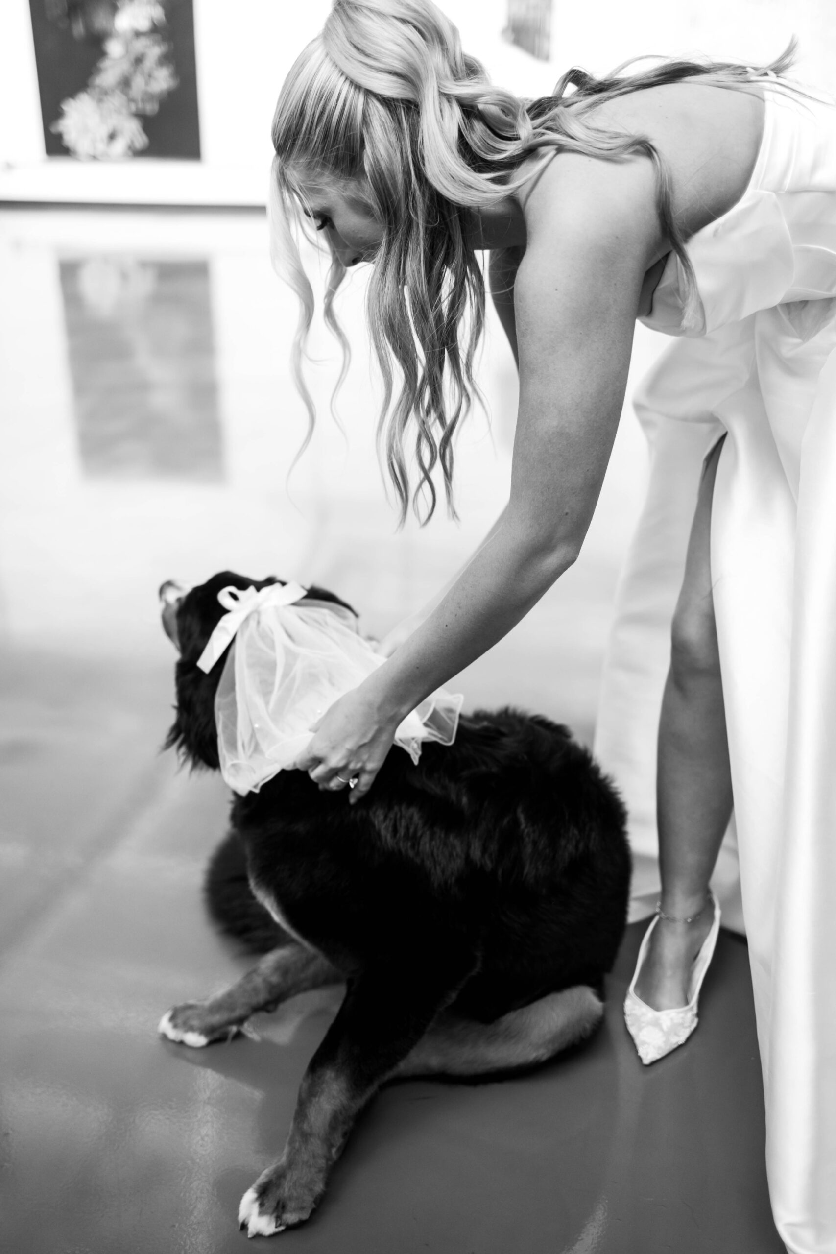 wedding photos with dog