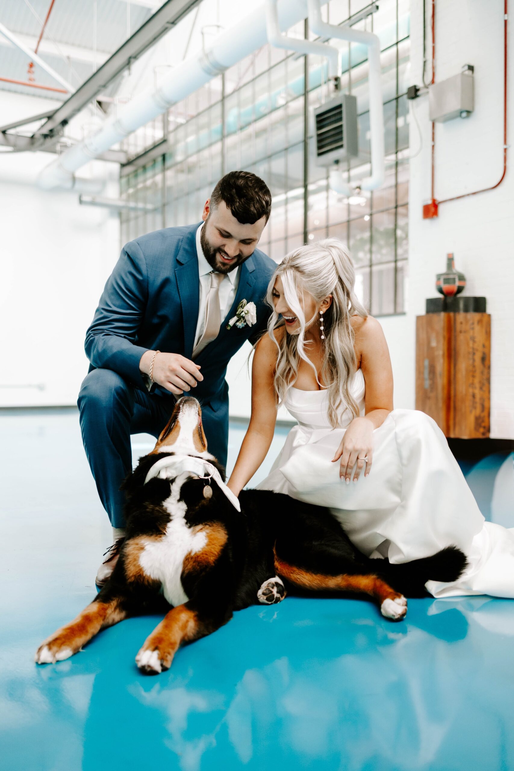 wedding photos with dog
