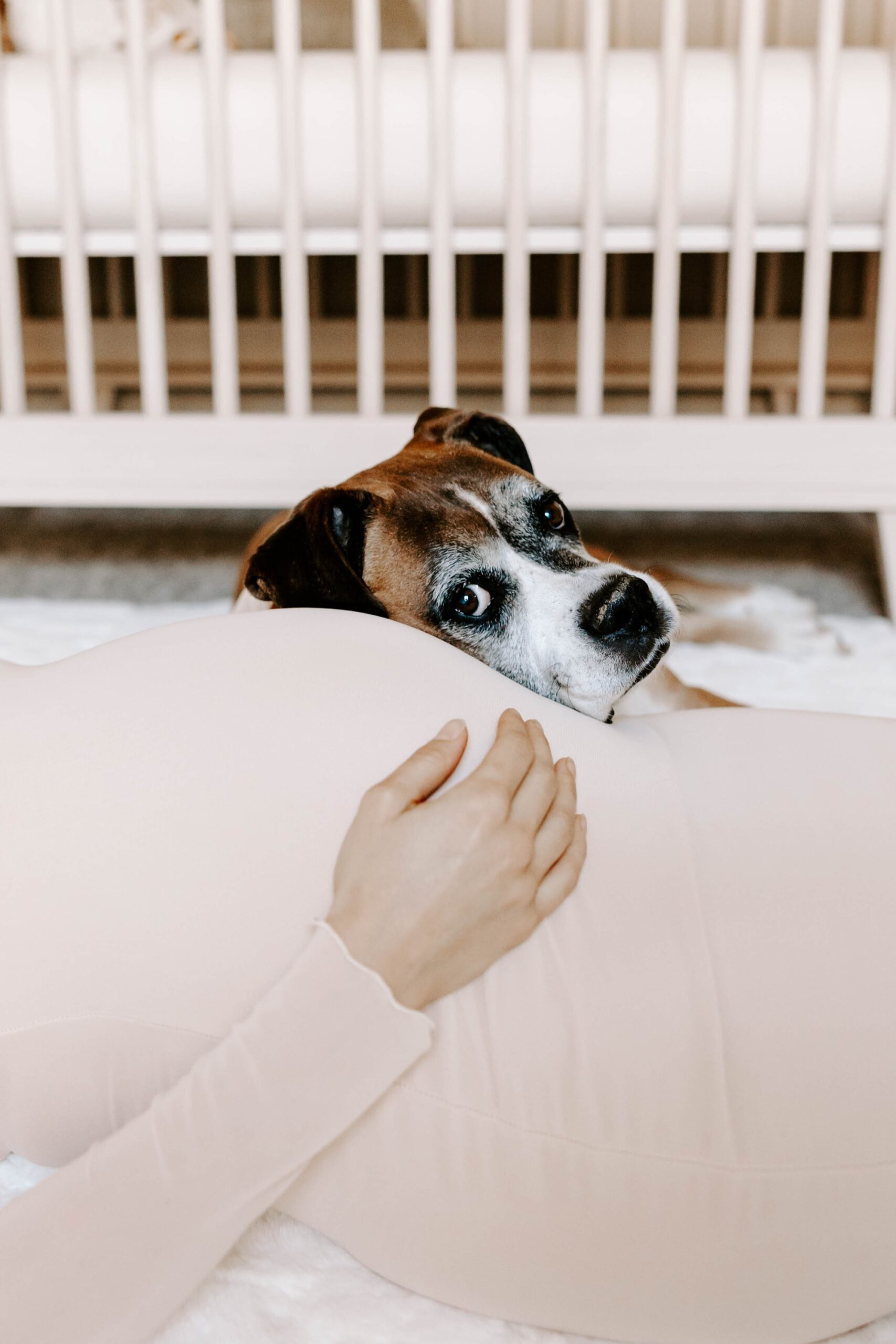 Rachel Wehan Pittsburgh Photographer maternity photography guide
