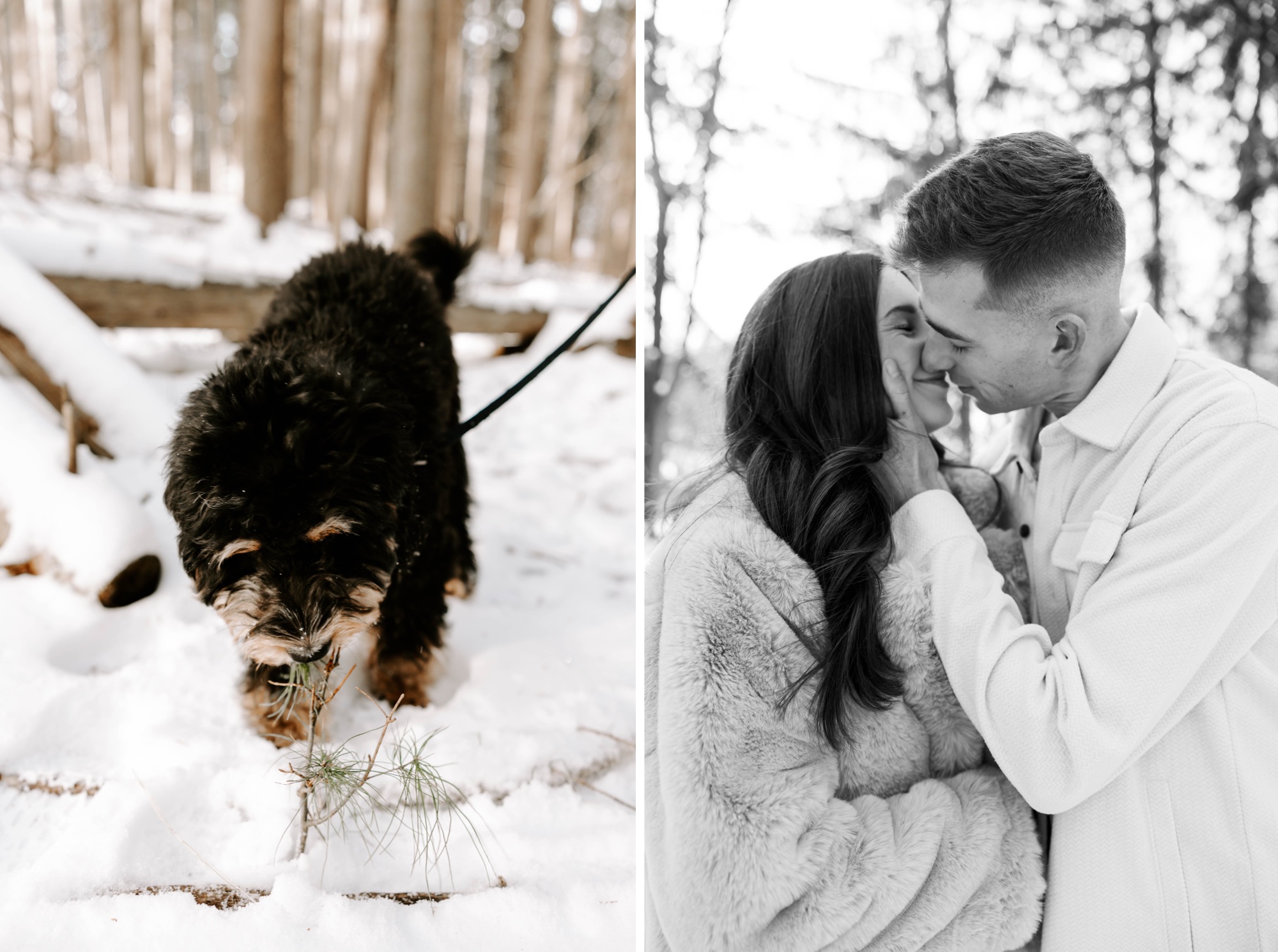 best parks to play in the snow in Pittsburgh