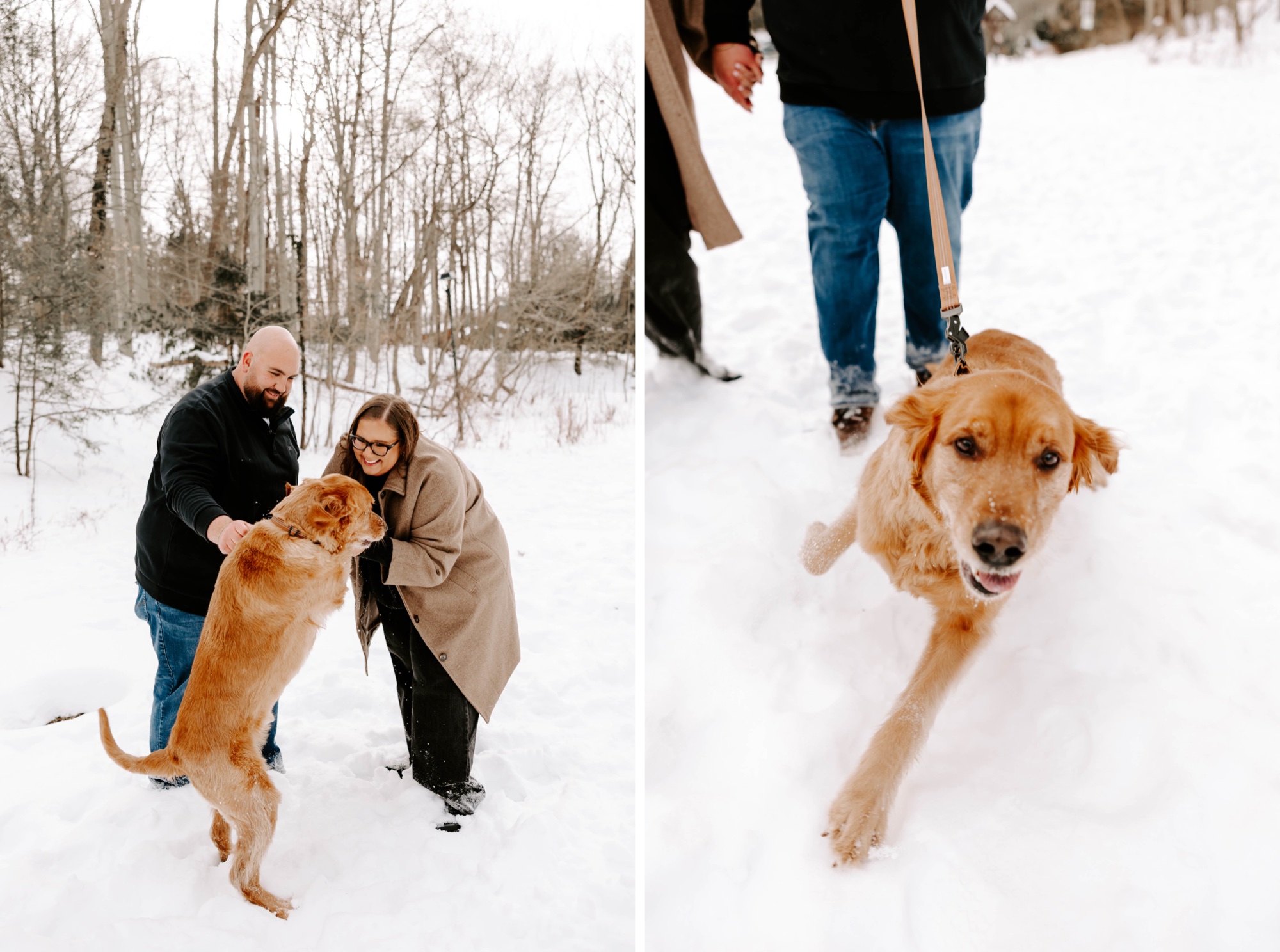 funny dog photo shoot in the snow; cute dog engagement photos