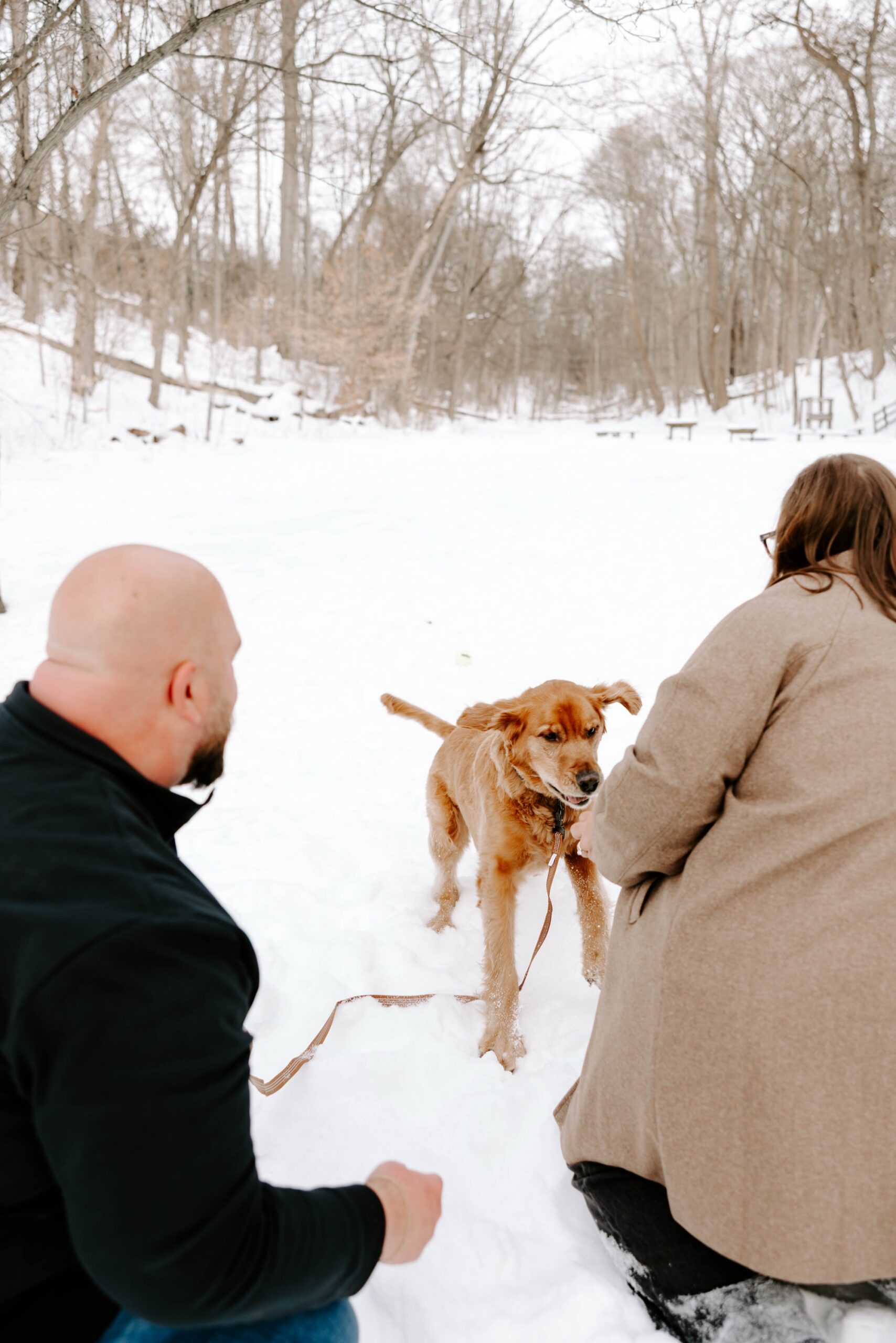 engagement photos with your dog