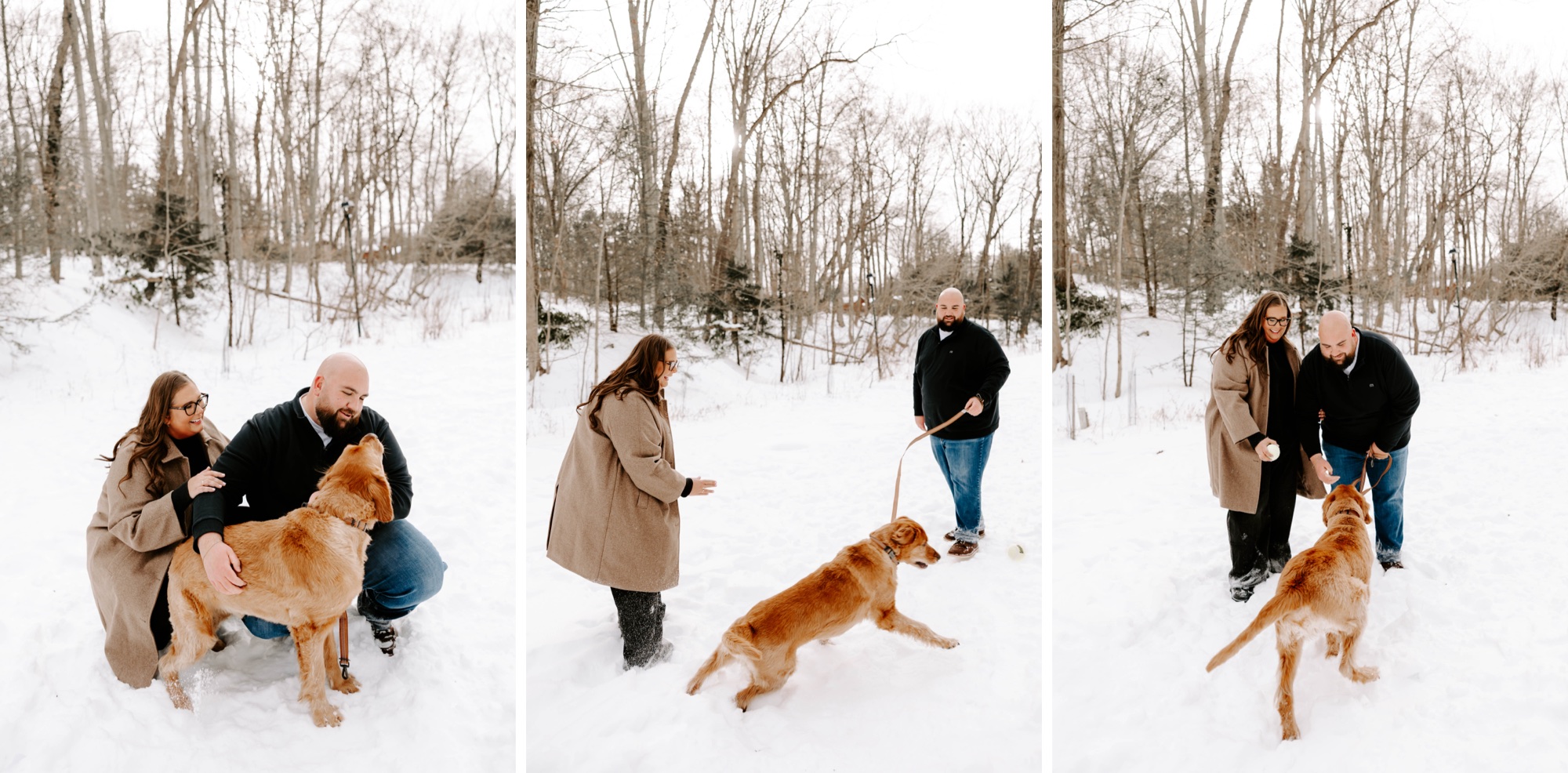 engagement photos with your dog