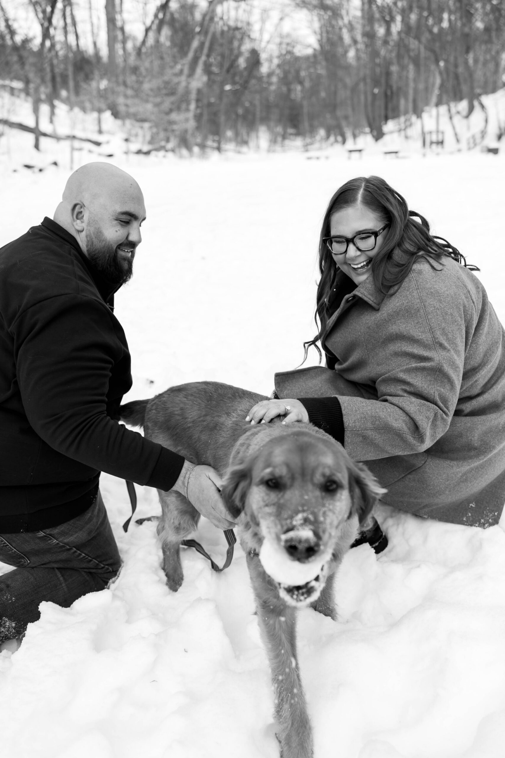 funny dog photo shoot in the snow; cute dog engagement photos