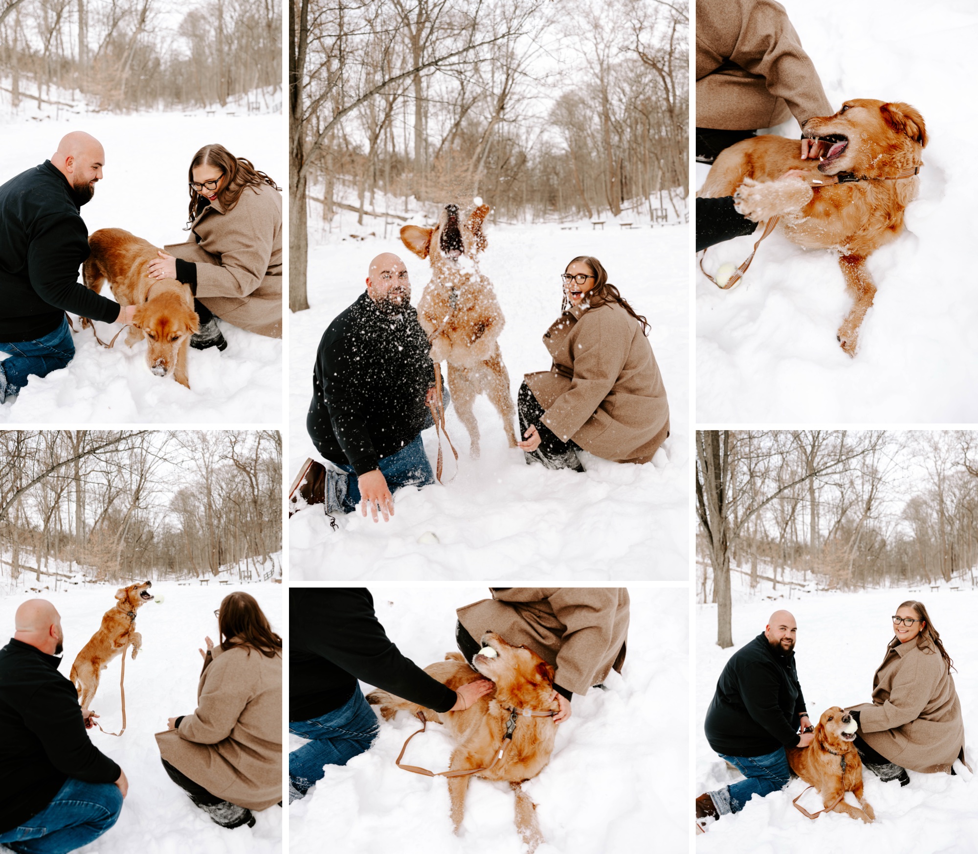 engagement photos with your dog