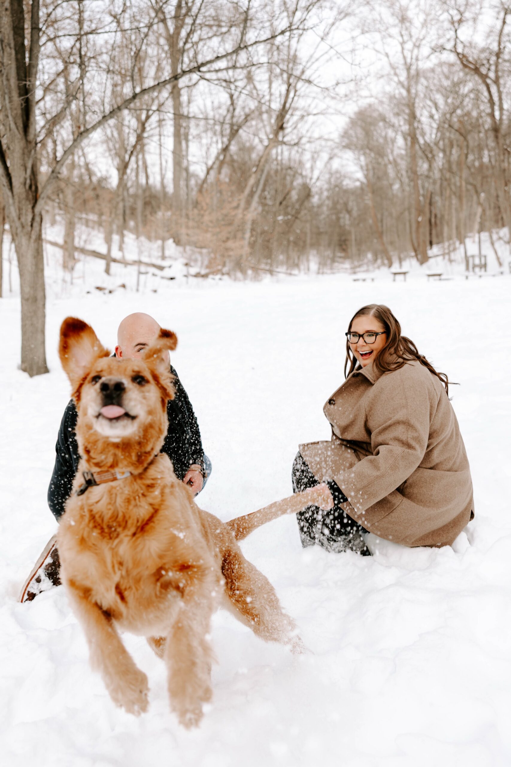 engagement photos with your dog