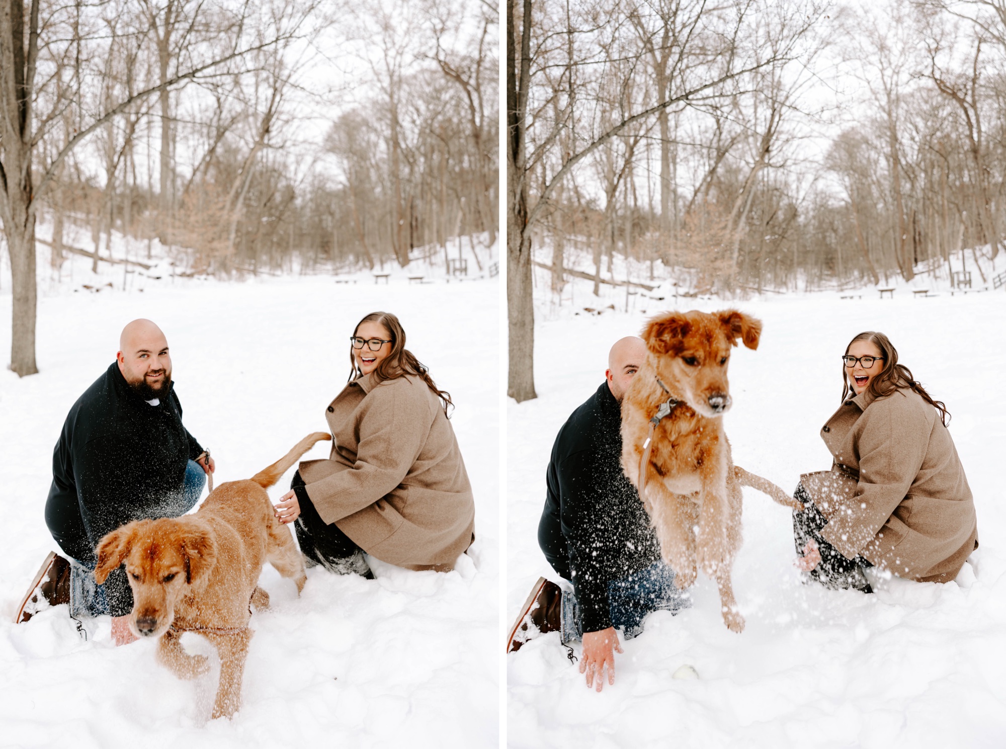 funny dog photo shoot in the snow; cute dog engagement photos