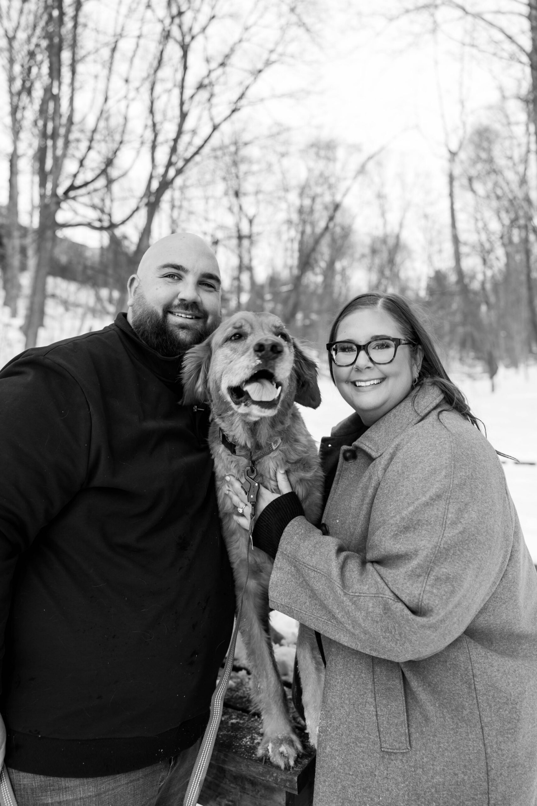 funny dog photo shoot in the snow; cute dog engagement photos