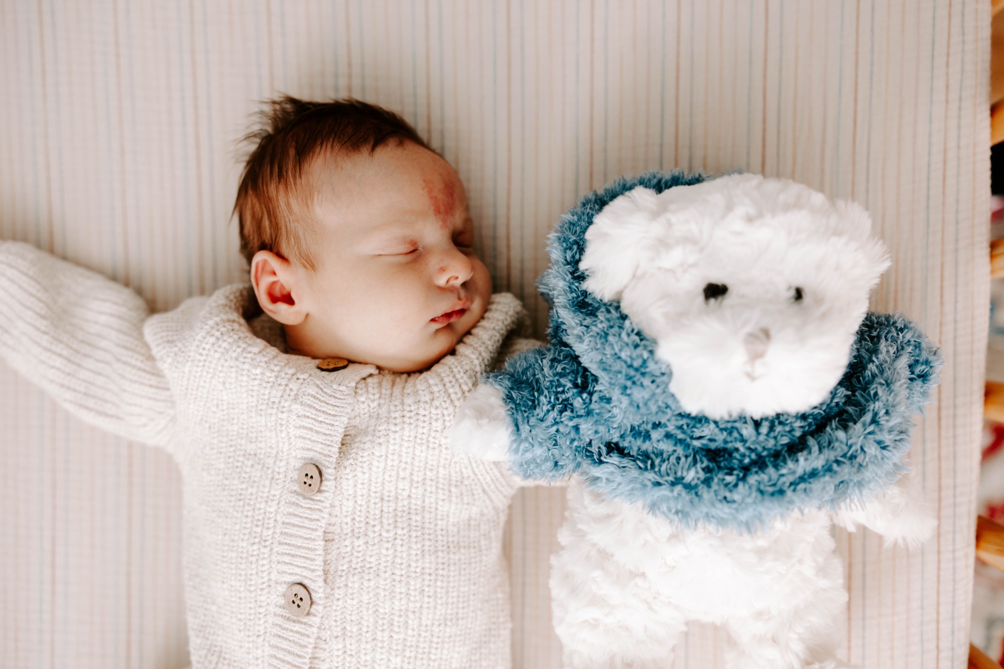 Pittsburgh in-home newborn session with siblings