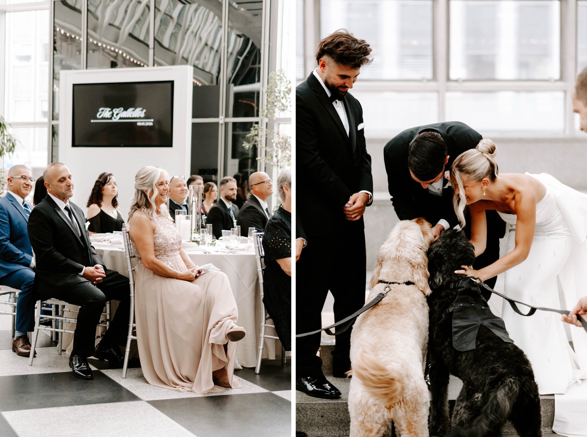 how to have your dogs in your wedding ceremony; Yappy Ever After Pittsburgh; dog ring bearers; wedding tux for dogs